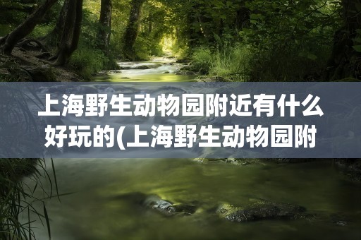 上海野生动物园附近有什么好玩的(上海野生动物园附近还有什么好玩的)