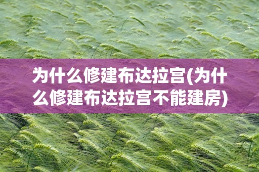为什么修建布达拉宫(为什么修建布达拉宫不能建房)
