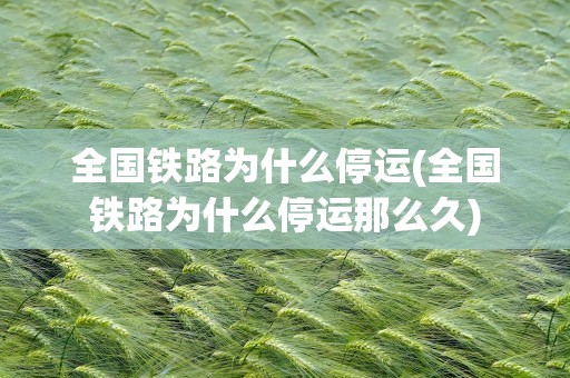 全国铁路为什么停运(全国铁路为什么停运那么久)