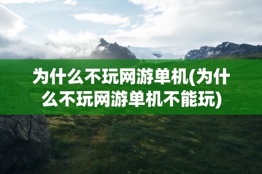 为什么不玩网游单机(为什么不玩网游单机不能玩)