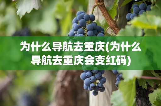 为什么导航去重庆(为什么导航去重庆会变红码)