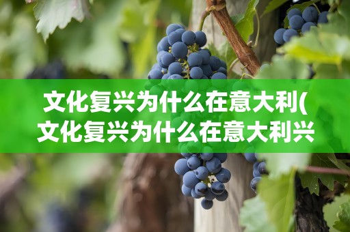 文化复兴为什么在意大利(文化复兴为什么在意大利兴起)