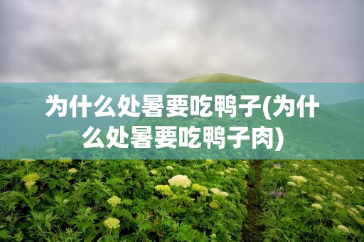 为什么处暑要吃鸭子(为什么处暑要吃鸭子肉)