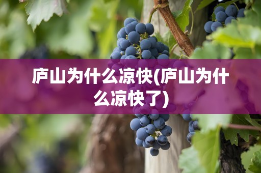 庐山为什么凉快(庐山为什么凉快了)