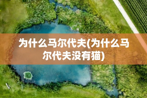 为什么马尔代夫(为什么马尔代夫没有猫)