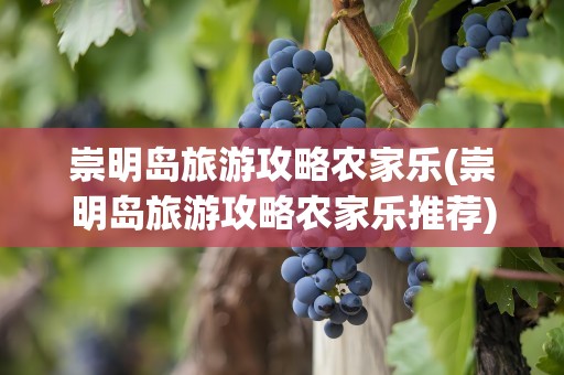 崇明岛旅游攻略农家乐(崇明岛旅游攻略农家乐推荐)