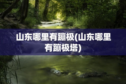 山东哪里有蹦极(山东哪里有蹦极塔)
