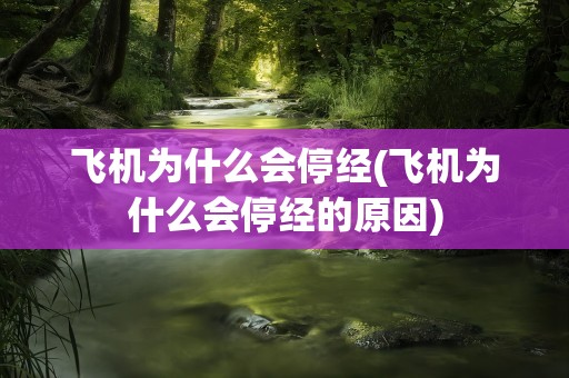飞机为什么会停经(飞机为什么会停经的原因)
