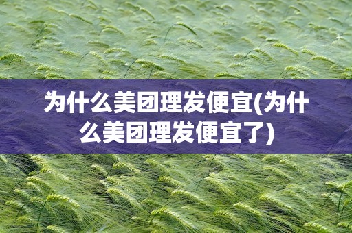 为什么美团理发便宜(为什么美团理发便宜了)