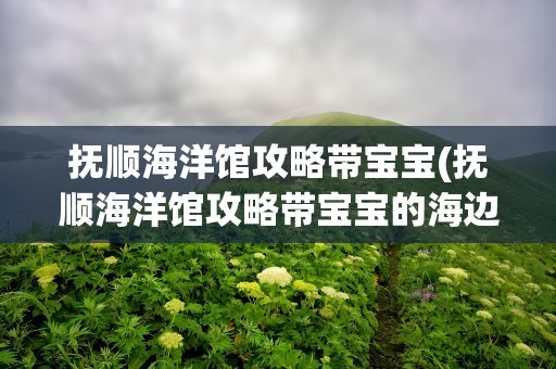 抚顺海洋馆攻略带宝宝(抚顺海洋馆攻略带宝宝的海边)