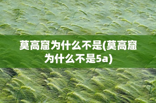 莫高窟为什么不是(莫高窟为什么不是5a)