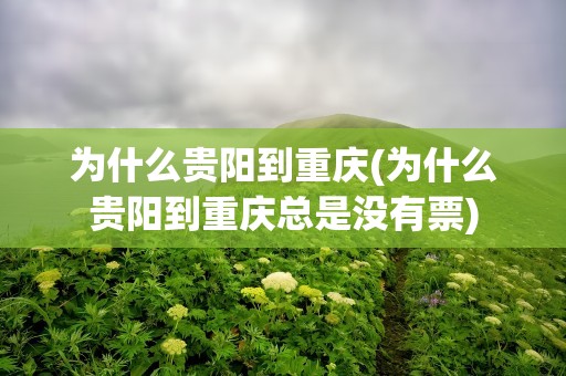 为什么贵阳到重庆(为什么贵阳到重庆总是没有票)