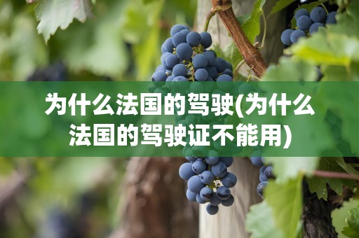 为什么法国的驾驶(为什么法国的驾驶证不能用)