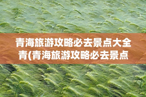 青海旅游攻略必去景点大全青(青海旅游攻略必去景点大全自驾)