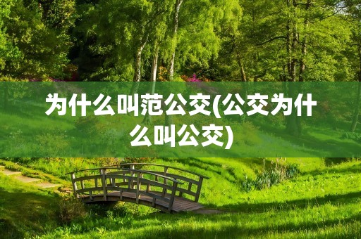 为什么叫范公交(公交为什么叫公交)