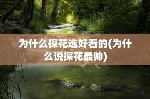 为什么探花选好看的(为什么说探花最帅)