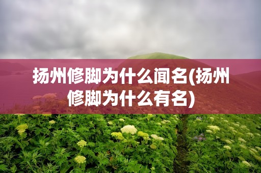 扬州修脚为什么闻名(扬州修脚为什么有名)