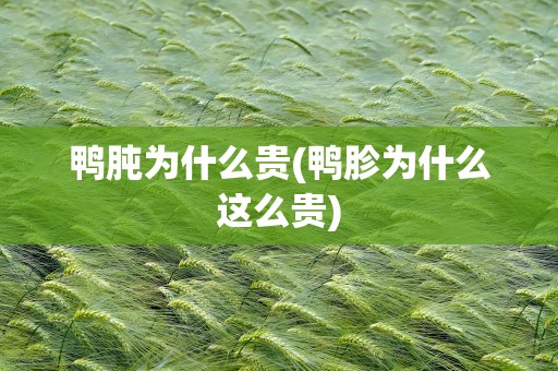 鸭肫为什么贵(鸭胗为什么这么贵)