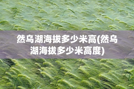 然乌湖海拔多少米高(然乌湖海拔多少米高度)