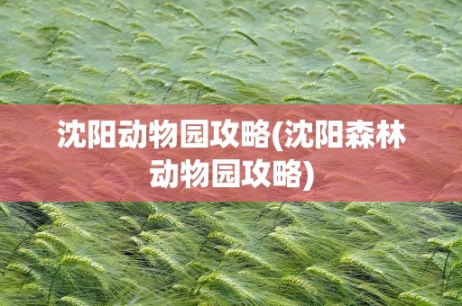 沈阳动物园攻略(沈阳森林动物园攻略)