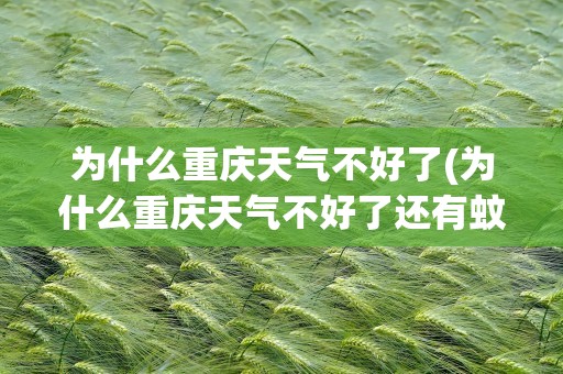 为什么重庆天气不好了(为什么重庆天气不好了还有蚊子)