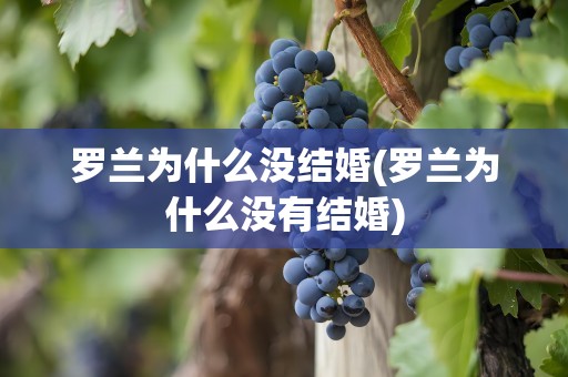 罗兰为什么没结婚(罗兰为什么没有结婚)