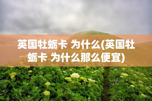 英国牡蛎卡 为什么(英国牡蛎卡 为什么那么便宜)