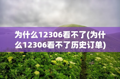 为什么12306看不了(为什么12306看不了历史订单)