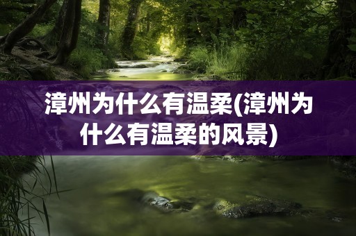漳州为什么有温柔(漳州为什么有温柔的风景)