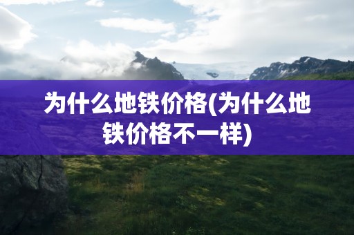 为什么地铁价格(为什么地铁价格不一样)