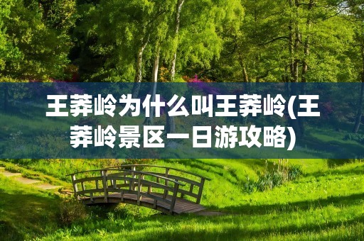 王莽岭为什么叫王莽岭(王莽岭景区一日游攻略)