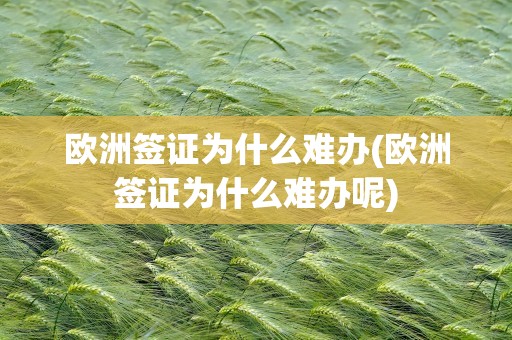欧洲签证为什么难办(欧洲签证为什么难办呢)