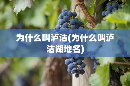 为什么叫泸沽(为什么叫泸沽湖地名)