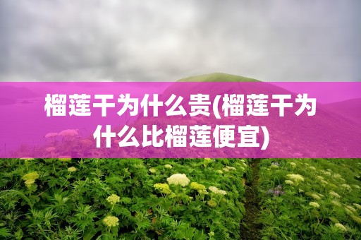 榴莲干为什么贵(榴莲干为什么比榴莲便宜)