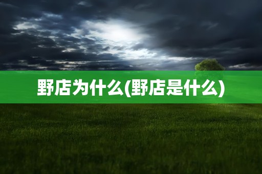 野店为什么(野店是什么)