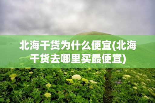 北海干货为什么便宜(北海干货去哪里买最便宜)