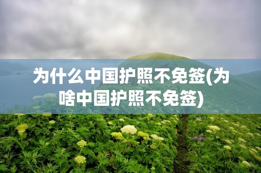 为什么中国护照不免签(为啥中国护照不免签)