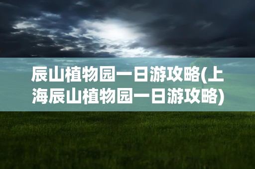 辰山植物园一日游攻略(上海辰山植物园一日游攻略)
