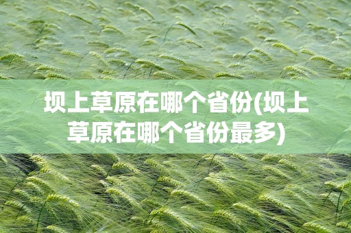 坝上草原在哪个省份(坝上草原在哪个省份最多)