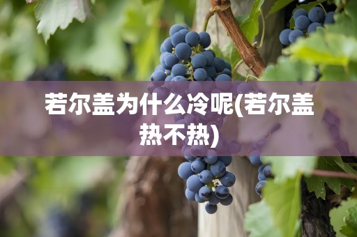 若尔盖为什么冷呢(若尔盖热不热)