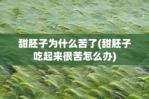 甜胚子为什么苦了(甜胚子吃起来很苦怎么办)