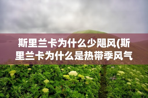 斯里兰卡为什么少飓风(斯里兰卡为什么是热带季风气候)