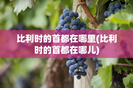 比利时的首都在哪里(比利时的首都在哪儿)