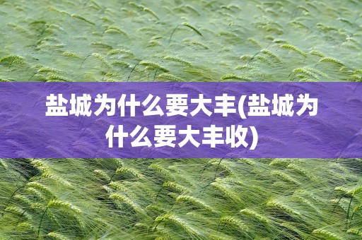 盐城为什么要大丰(盐城为什么要大丰收)