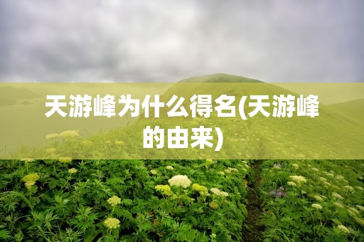天游峰为什么得名(天游峰的由来)