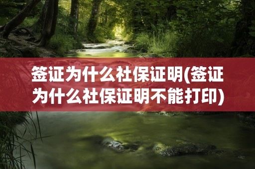 签证为什么社保证明(签证为什么社保证明不能打印)