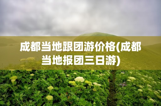 成都当地跟团游价格(成都当地报团三日游)