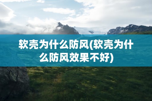 软壳为什么防风(软壳为什么防风效果不好)