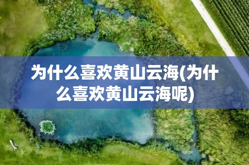 为什么喜欢黄山云海(为什么喜欢黄山云海呢)