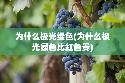 为什么极光绿色(为什么极光绿色比红色贵)